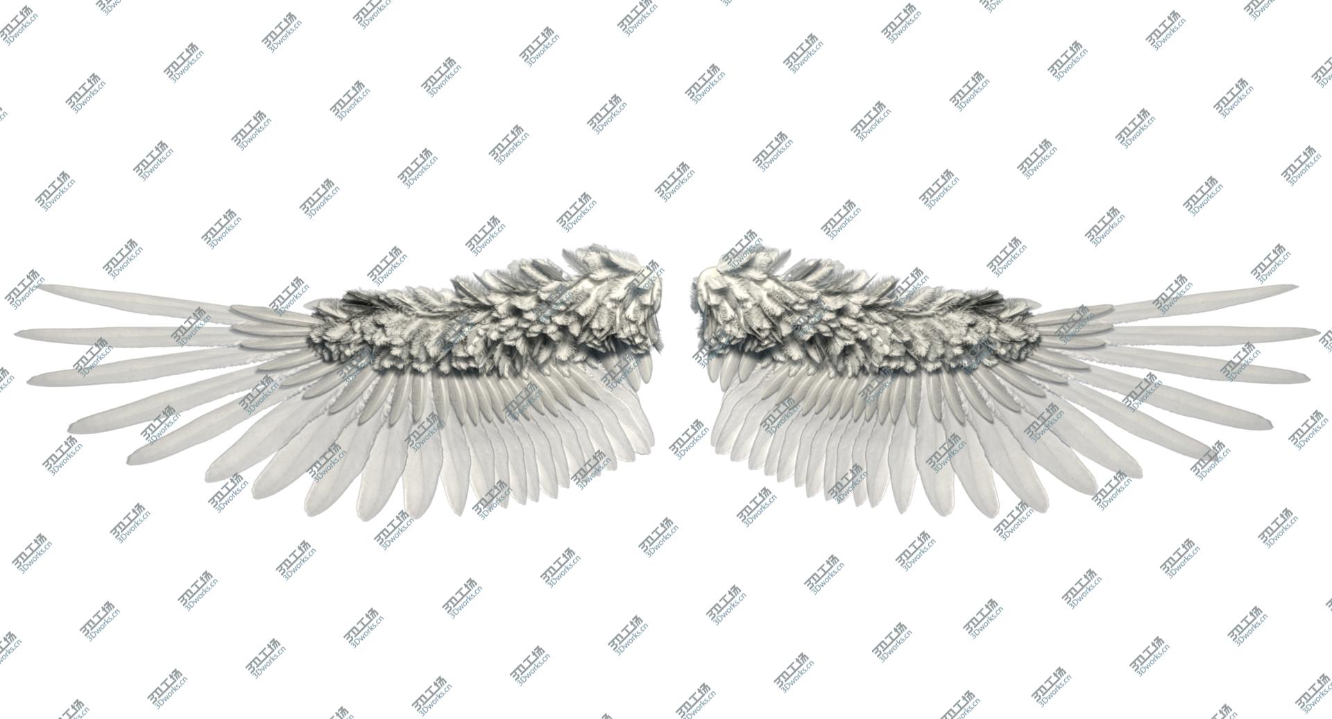 images/goods_img/2021040233/3D Angel Wings/2.jpg